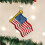 Old World Christmas Πολιτικά Δώρα Γυάλινα Στολίδια για Δέντρο Χριστουγέννων 2