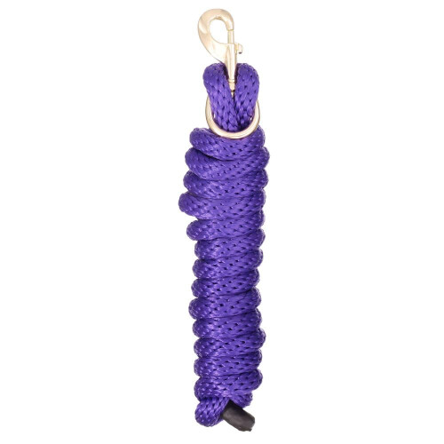Tough 1 Poly Lead with Replaceable Bolt Snap  Purple  8 1/2ft