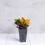 Plantator Ella Tall 3