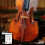 ThomastikInfeld Peter Infeld Violin Strings 4/4 Full Set with Platinum E  Synthetic Core 4/4 Violin Strings Including Platinum Plated E  Aluminum Wo 2