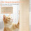 Costway Aviation-themed Cat Tree for Indoor Cats Small Cat Tower 7