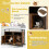 Costway Cat Litter Box Enclosure Hidden Cat Washroom With Double Doors-Coffee 2