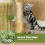 Costway Cute Cat Tree Modern Small Cat Tower With Sisal Scratching Posts-Green 6