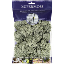 SuperMoss Renmoss (25116 Bevarad, Mossgrön, 2oz)