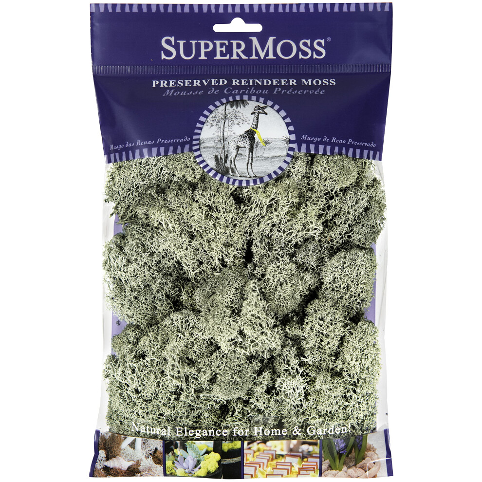 Supermoss Super Moss (25116 Rendiermos Geconserveerd Mosgroen 2Oz-image