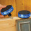 Rockler Bench Cookie Risers (2 Pack) - Connect Bench Cookies Plus or B 1