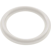 Waterway Plastics 806105124593 2"""" verwarmingselement O-ring/pakking