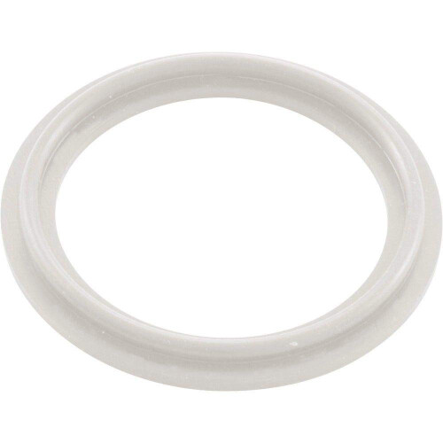 Waterway Plastics 806105124593 2"""" Heizungs-O-Ring/Dichtung 1