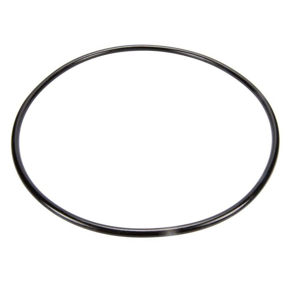 Pentair 87300400 Body O-Ring 788379693350