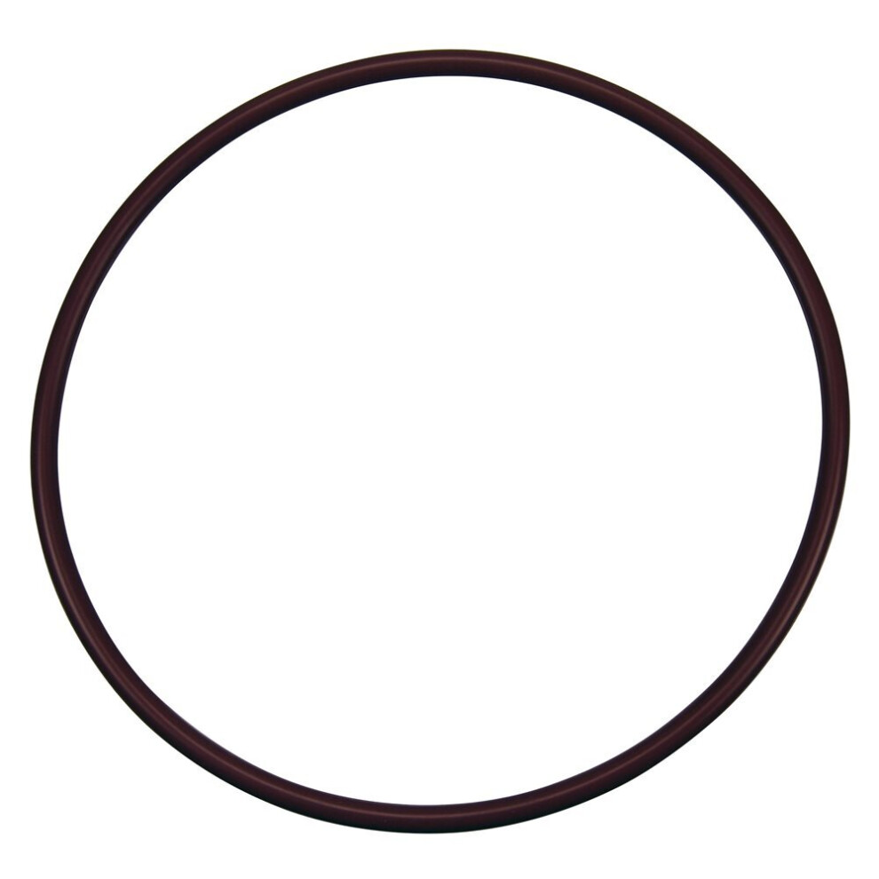 Pentair R172240 O-Ring Lid To Housing 788379309336