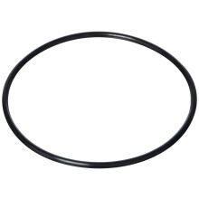 Waterway O-Ring, Filterdeckel 805-0360