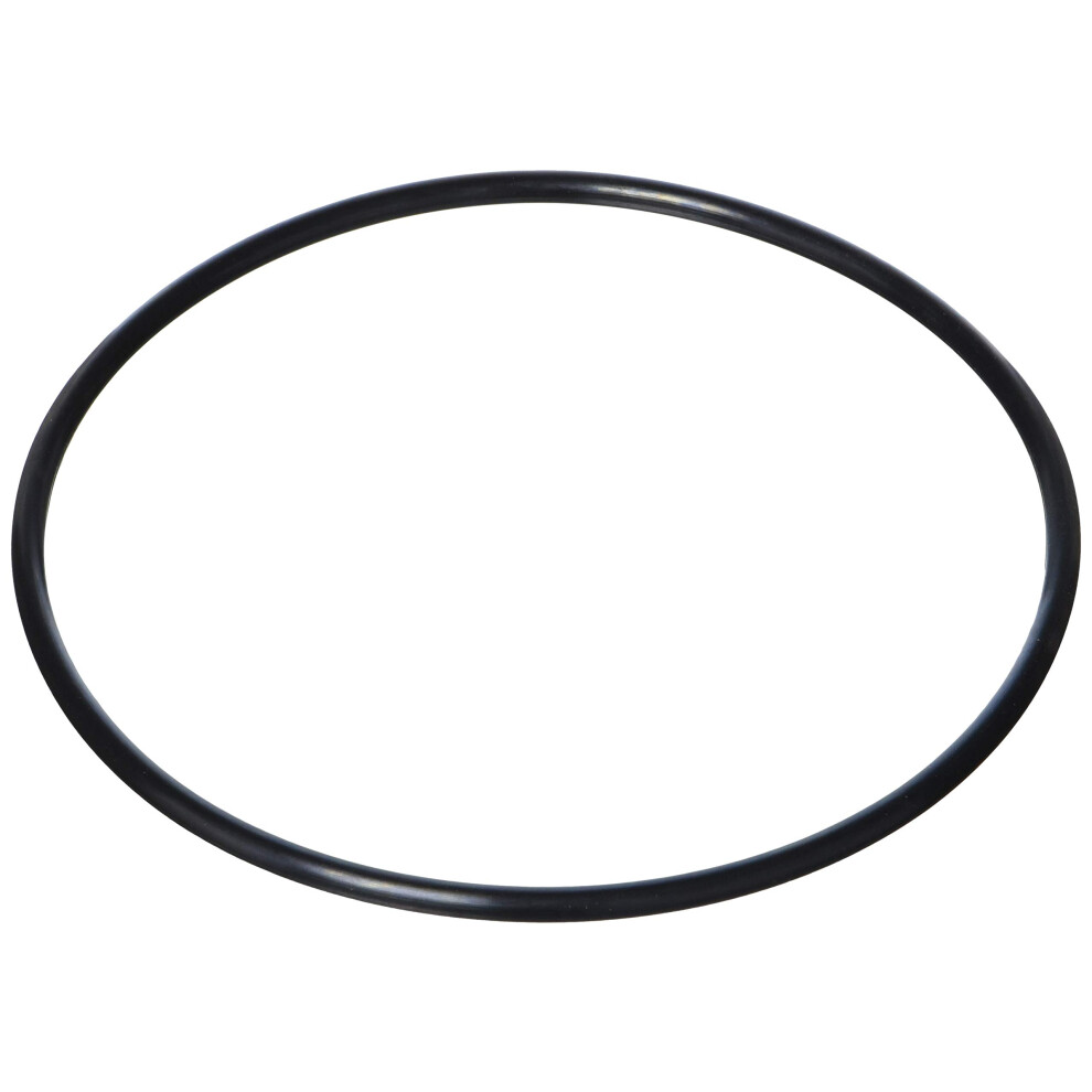 Waterway O-Ring Filter Lid 805-0360 806105129789