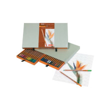 Bruynzeel Design Professional Colouring Pencils Set of 24 in Box | Artist Pencils for Drawing Sketching & Colouring