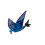 X-kites Flexwing Avatar planador azul 16 polegadas 1