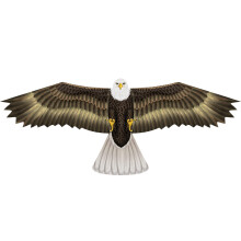 X Kites BirdsofPrey Eagle Nylon Bird Kite 49 tum bred