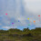 In the Breeze Yellow Diamond Kite, 30-Inch 4