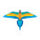 Windnsun Floresta tropical de nylon macaw 60 polegadas de largura 1