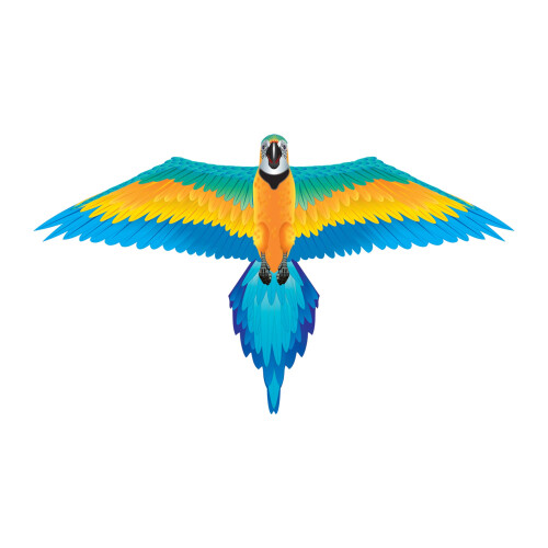 Windnsun Floresta tropical de nylon macaw 60 polegadas de largura
