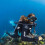 SCUBAPRO Seawing Nova Πτερύγιο Ανοιχτού Τακουνιού με Αυτορυθμιζόμενο Λουρί, X-Large 2