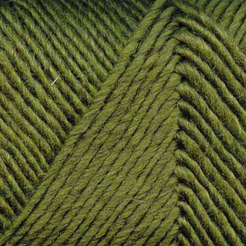 Brown Sheep - Lamb's Pride Worsted Νήμα Πλεξίματος, 4 oz (191 - Kiwi)