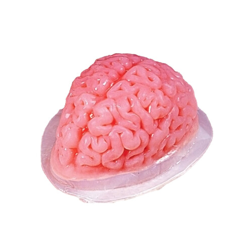 Fun World Brain Shaped Plastic Gelatin Mold