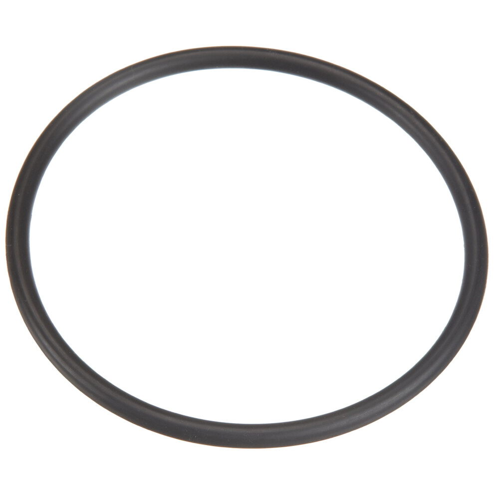 Pentair 35505-1425 O-Ring For Bulkhead Assembly Replacement For Select 616312759330