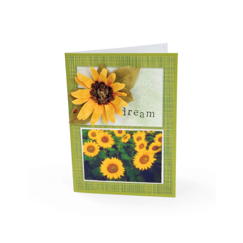 Sizzix Thinlits Grid Works Die 5.375x3.875-2.375x3.375 dreptunghiuri