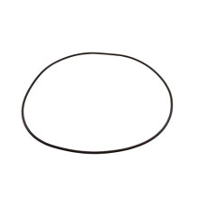 Waterway Plastics 805-0460 Clearwater II Deckel O-Ring