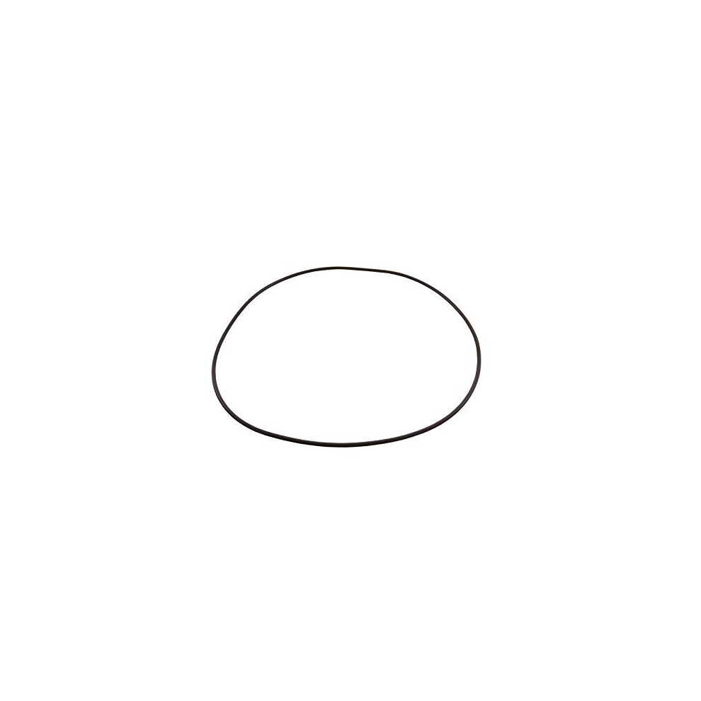 Waterway Plastics 805-0460 Clearwater Ii Lid O-Ring 806105268297
