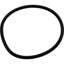 Waterway Plastics 805-0435 Joint O-Ring pour Filtre à Sable