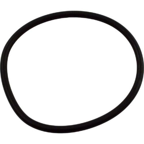 Waterway Plastics 805-0435 O-Ring Nr. 435 Zandfilter Colla
