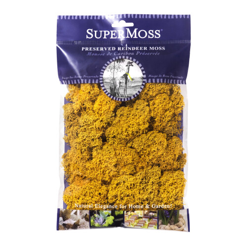 Super Moss (25125 Renmossa Bevarad, Mango, 2oz)