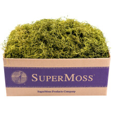 SuperMoss (27012) Spanisches Moos, konserviert, Chartreuse, 3 Pfund