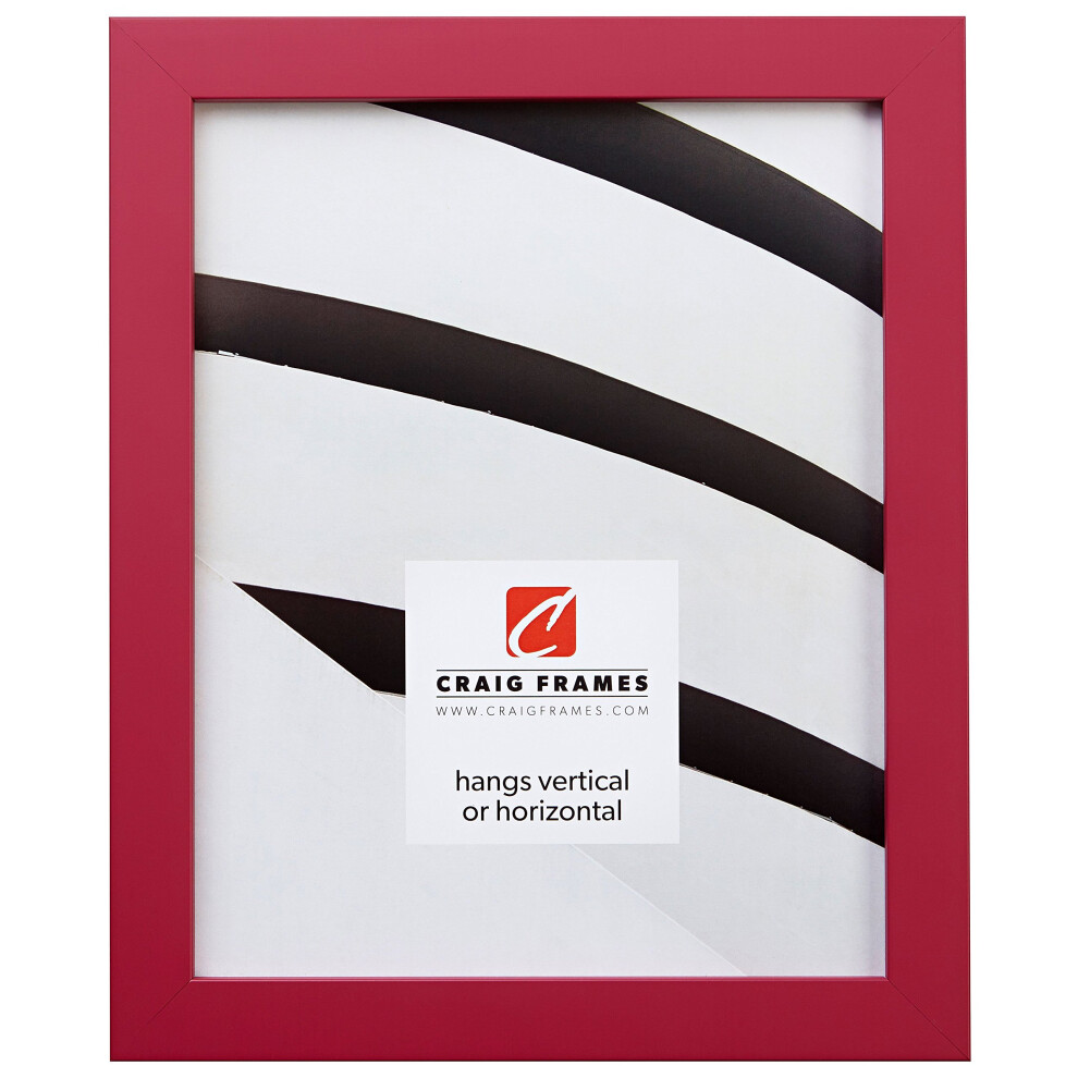 Craig Frames Confetti Moderner Bilderrahmen, Rosa, 25,4 X 30,5 Cm-image