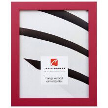 Craig Frames Confetti Modern Pink Picture Frame 11 x 14 Inch