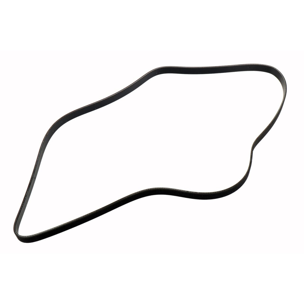 Courroie serpentine nervures en V ACDelco GM d'origine 55578811 noire