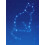 Cat Constellation Pet Card 1
