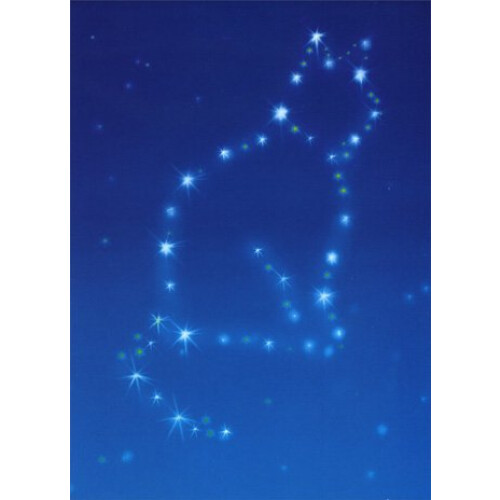 Cat Constellation Pet Card