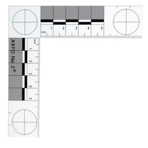 Makrografick stupnice msta cinu (c. 2  metrick) 1