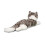 Douglas Pl  schtier Douglas Smokey Grey Cat 5