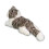Douglas Pl  schtier Douglas Smokey Grey Cat 4