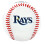 Rawlings MLB Tampa Bay Rays Team Logo Baseball White 2