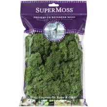 Supermoss (23080) Reindeer Moss Preserved Basil 2 Ounces