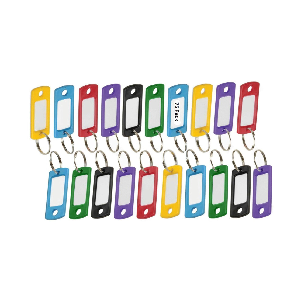 Lucky Line Flexible Colored Plastic Key Tag With 3/4"" Split Ring In Assorted Colors 75 Key Tags (16975) 085721169755