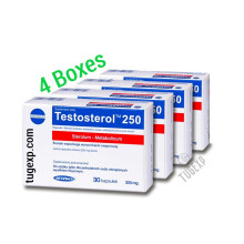 4 x Testosterol 250 x 30 Capsules Muscle Building Power Anabolic
