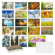 Best Paper Greetings 40er-Pack Naturpostkarten, groe leere Reisekarten zum Versenden, 20 verschiedene Landschaftsfotos, vier Jahreszeiten (10,2 x 15