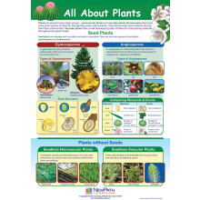 Poster Alles ber Pflanzen laminiert, vollfarbig, 23 x 35 Zoll