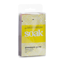 Soak ST04-6 Minisoak Travel Pack-Assorted