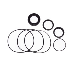 REPLACEMENTKITS.COM - Helm Seal Kit for 50 Series Replaces kit HS-05 -