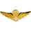 Eagleemblems P40039 Wing-Canadian Jump (GLD/WHT) (2,5 '') 1